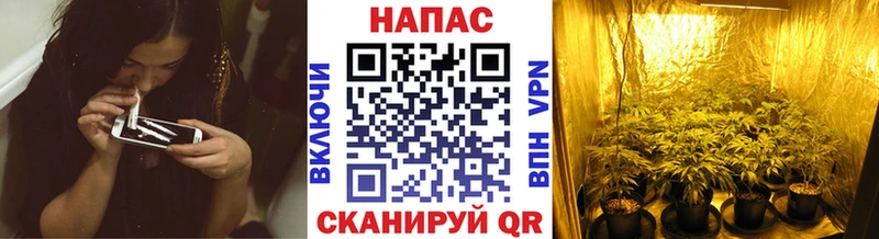 Как найти наркотики Можга ГАШИШ Галлюциногенные грибы Мефедрон МАРИХУАНА А ПВП