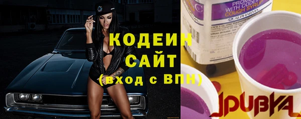 сатива Арсеньев