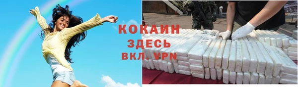 сатива Арсеньев