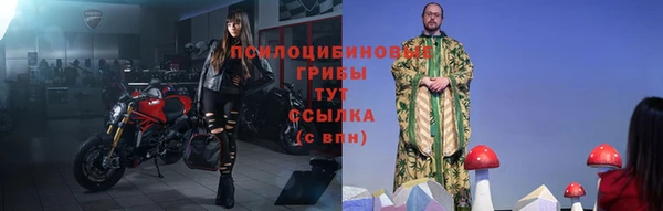 сатива Арсеньев