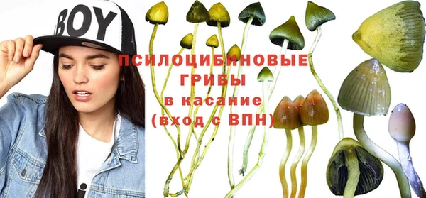 ешки Армянск