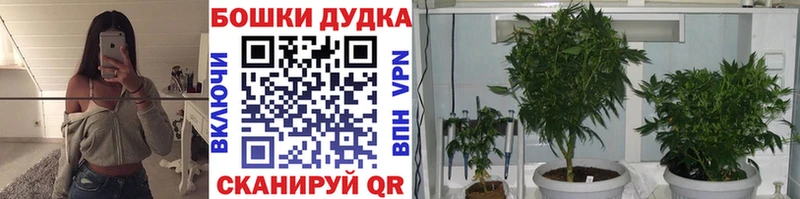 Шишки марихуана конопля  Можга 